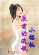 副总夫人16