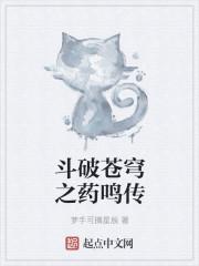 超极品狂少