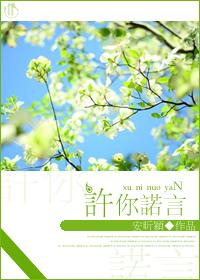 重生之神医军嫂