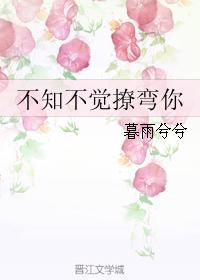 斗破神雕